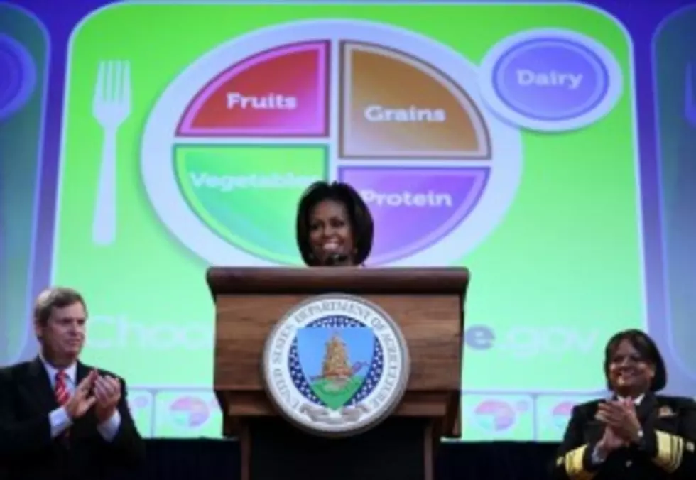 USDA Replaces Food Pyramid&#8230;.Unveils Plate Icon