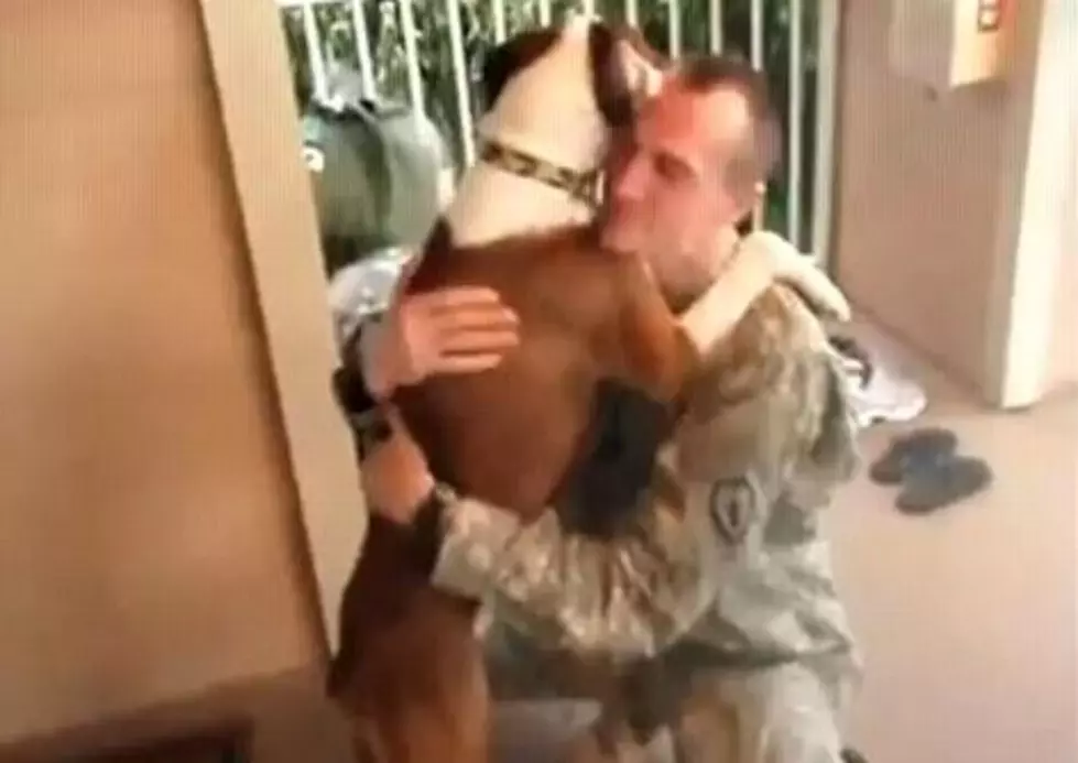 Man’s Best Friends Welcome Their Military Owners Home [VIDEO]