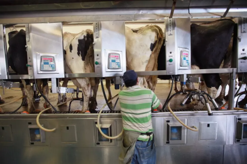 Dairy Farmers Take Heat in &#8216;The Buffalo News&#8217;
