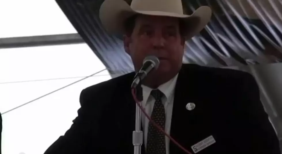 Auctioneering At Its Best [VIDEO]