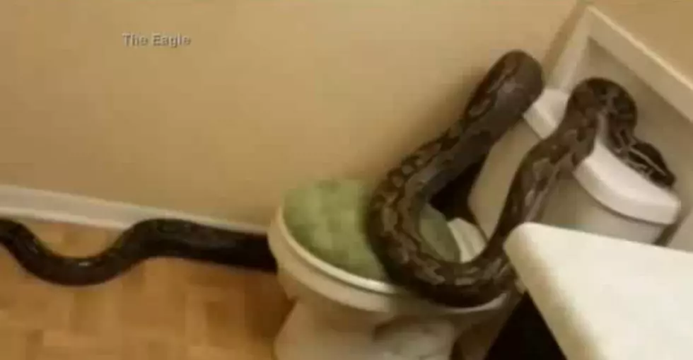 Woah! Woman Finds This Animal In Her Bathroom + Calls 911 [VIDEO]