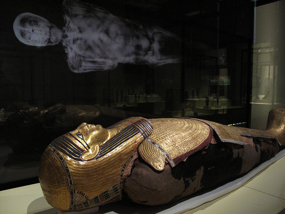 Looking For A Fun + Educational Summer Activity? Visit Mummies Of The World At The Buffalo Museum Of Science! [SPONSORED CONTENT]