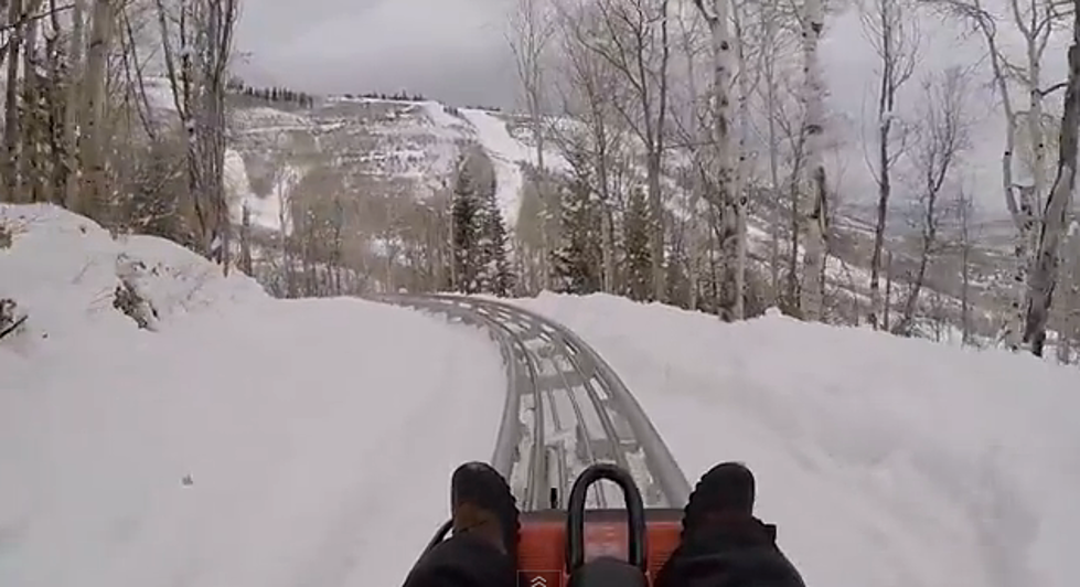 Would You Do This Alpine Roller Coaster In The Snow? Looks Like A Riot! [VIDEO]
