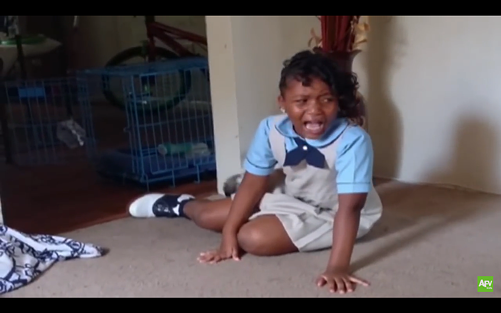 This Little Girl’s Reaction to a New Puppy Will Give You All the Feels [VIDEO]