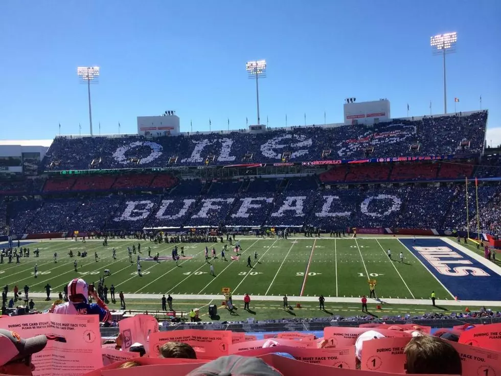 Bills Fans Feelings In 9 Pics
