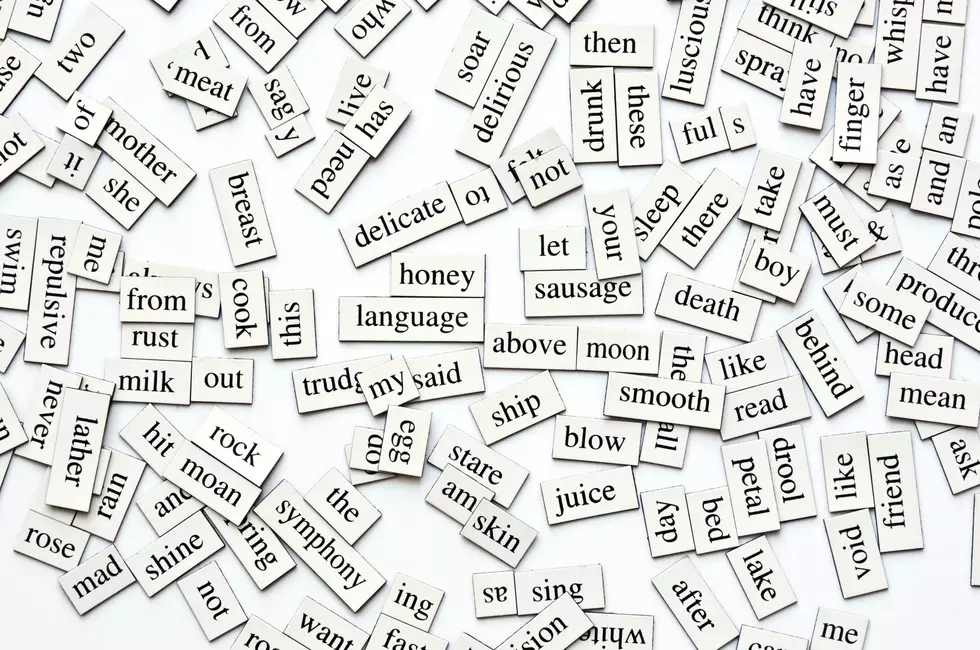 Words and Phrases WNYers Want to Ban in 2016