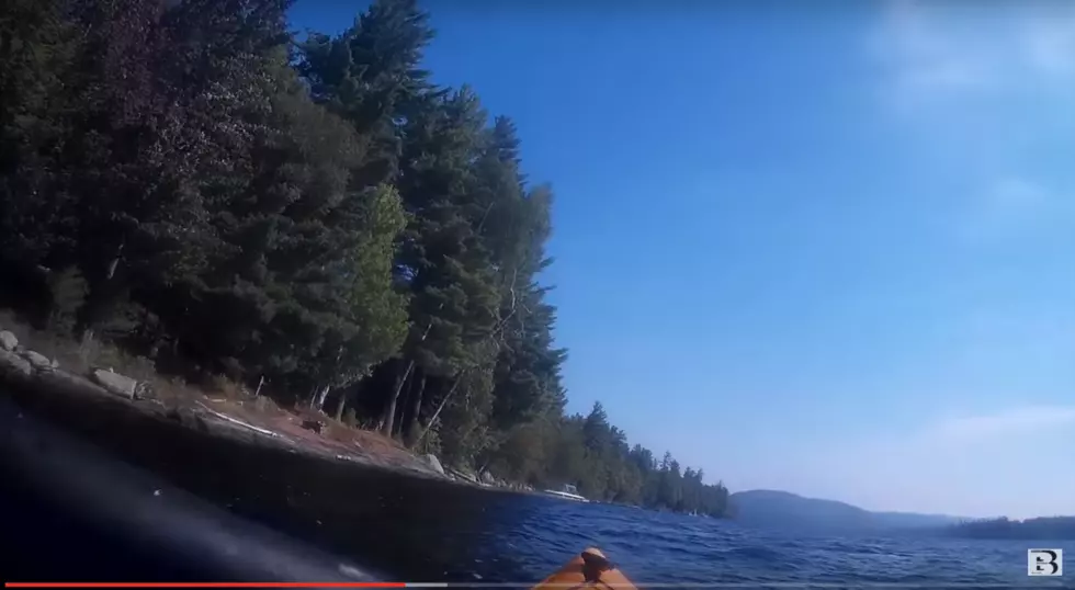 Take a First Person Kayak Ride Through the Adirondacks [VIDEO]