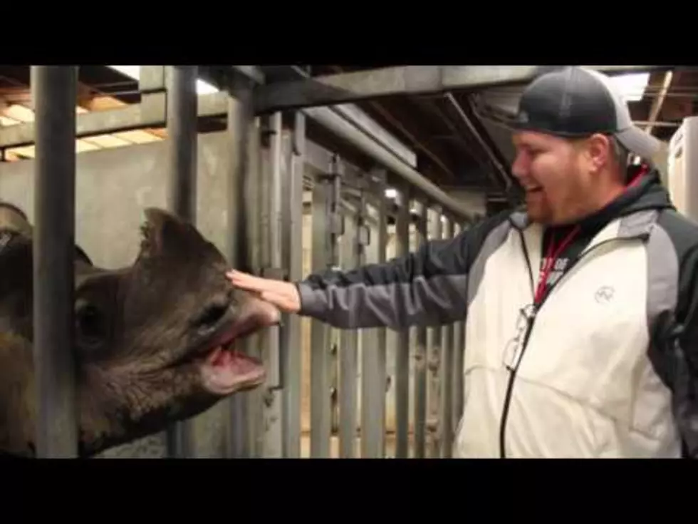 Brett Alan Gets Up Close To Feed George The Rhino At The Buffalo Zoo!