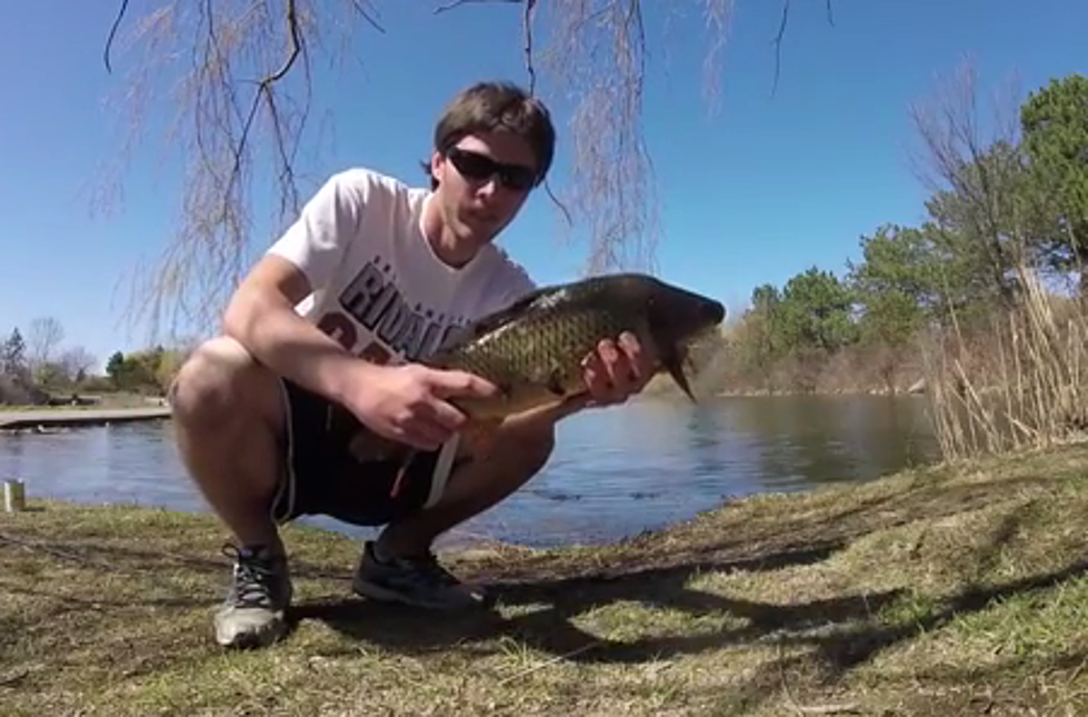 What Is Bowfishing? Where Can You Do It in WNY? [VIDEO]