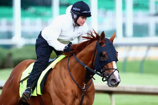 Which Horse Is Your Best Bet To Win Money At The Kentucky Derby?
