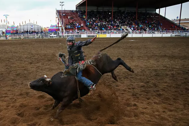 Can&#8217;t Miss – The Best Rodeos in Western New York for 2016