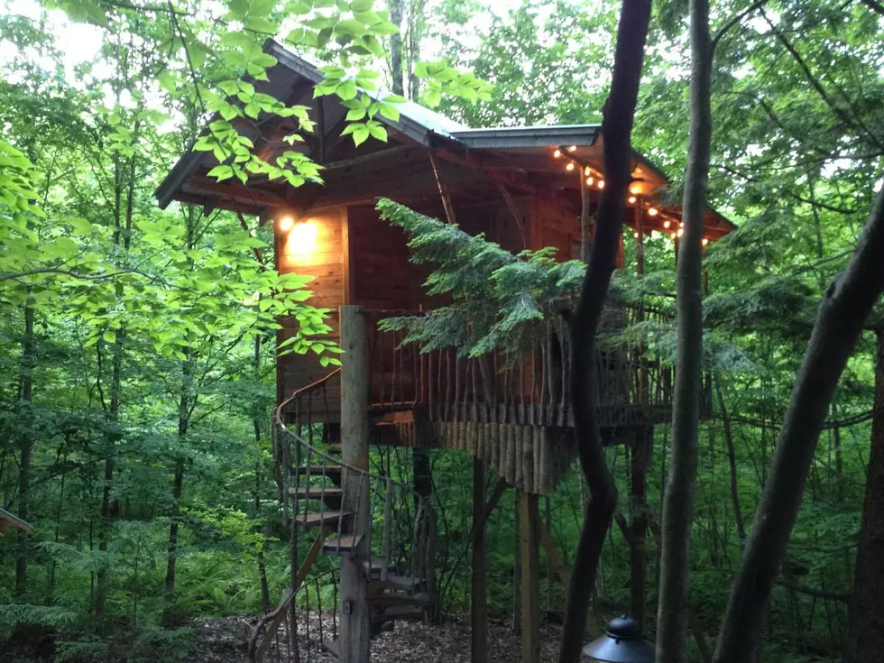 This New York Tree House Retreat Is Straight Out of a Children’s Storybook