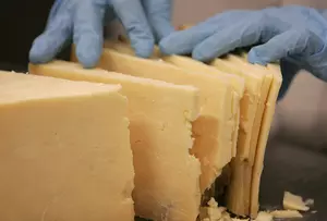 15 Million Pounds of Cheese in Livingston County