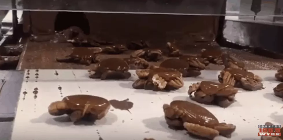 Yummy Chocolate Covered Candy &#8211; Inside Look From Watson&#8217;s Chocolates