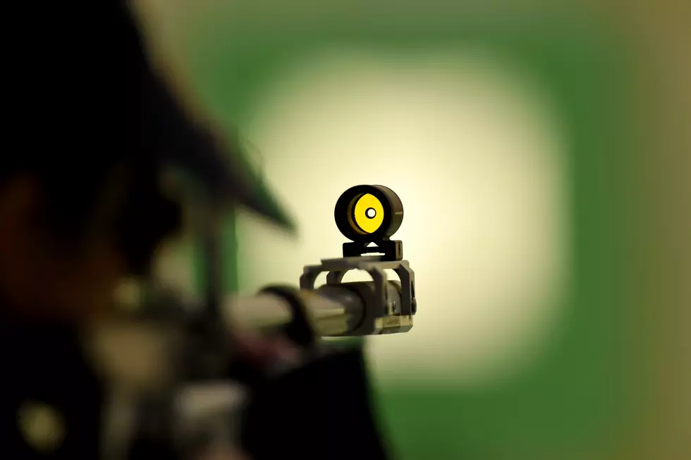 DIY Cheap Resetting Gun Target