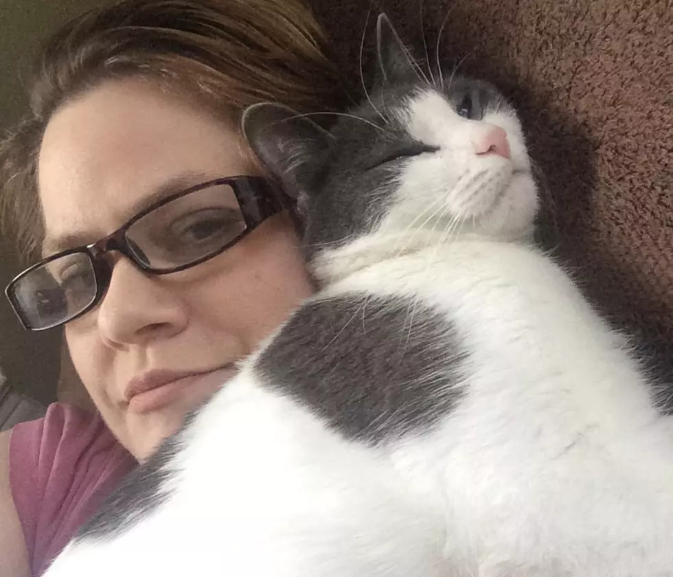Watch How Wendy Lynn&#8217;s Cat Kiki Dee Welcomes Her Home Each Night!