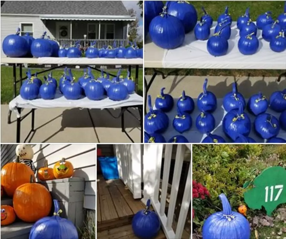 Buffalo Is Displaying Blue Pumpkins To Support The Family Of Craig Lehner