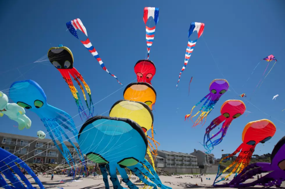 &#8216;Go Fly A Kite Festival&#8217; Is This Weekend