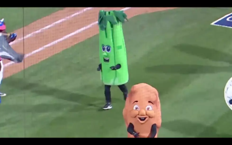 The Bisons Are Asking You To Help Pick Celery&#8217;s Replacement