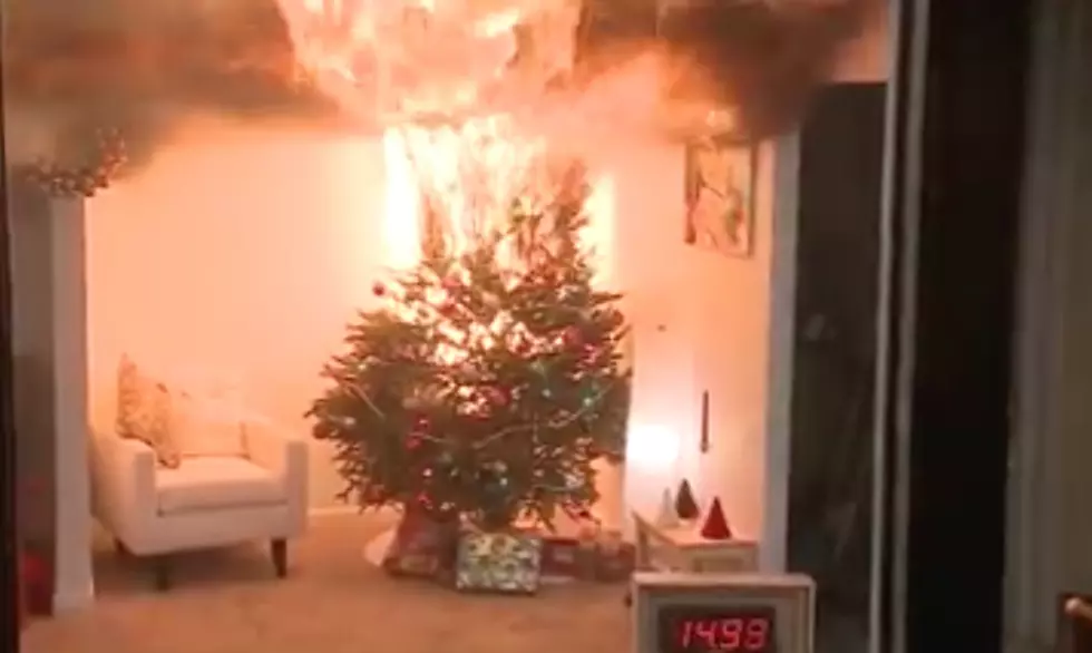 Here&#8217;s How a Real Tree Could Ruin Christmas [Safety Video]