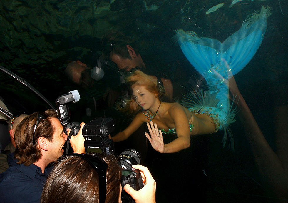 Meet A Real Mermaid At The Aquarium Of Niagara This Saturday