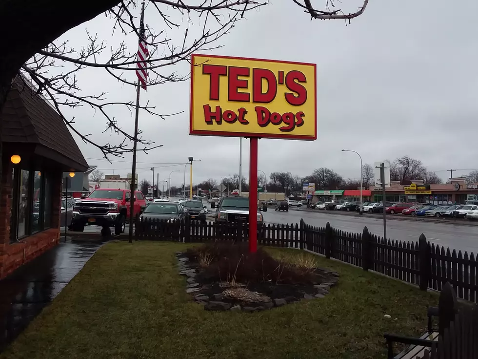 Ted’s Hot Dogs Serving Up 91 Cent Hot Dogs