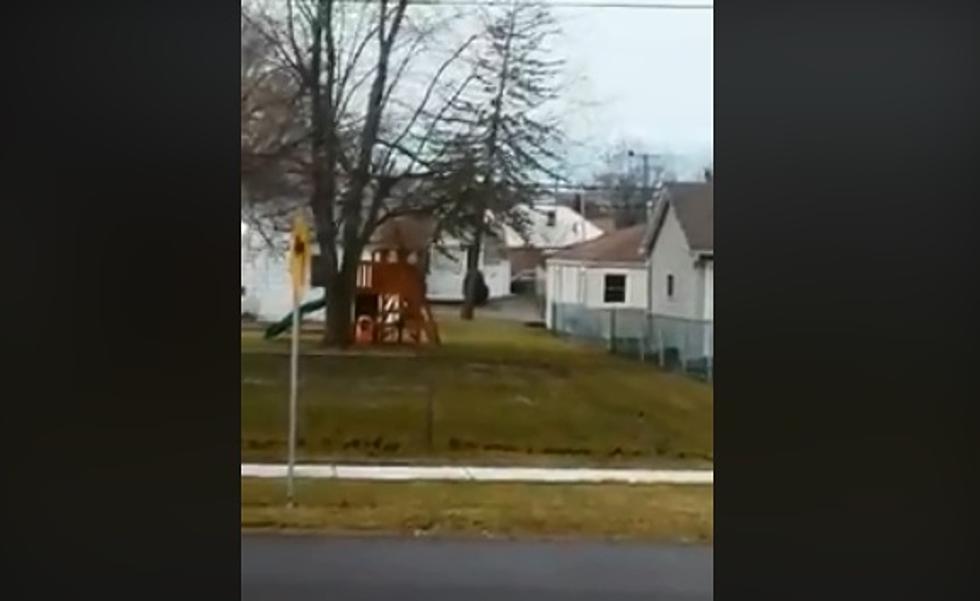 Watch The Wind Yesterday Rip A Tree Out The Ground in Lancaster [VIDEO]