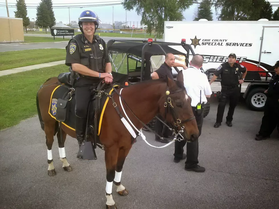 Sheriff’s Mounted Unit Loses Long-Serving Horse ‘Jake’