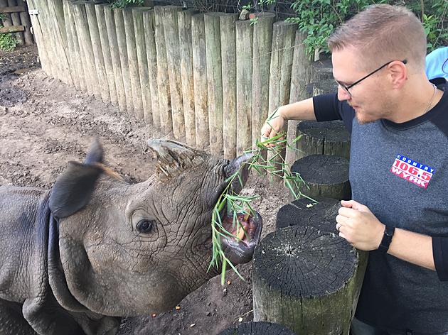 Join Brett Alan And The Buffalo Zoo This Friday For &#8216;Bowling For Rhinos&#8217;