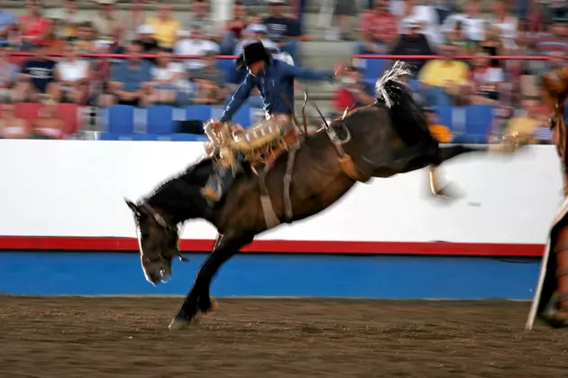 The NY High School Rodeo Is This Weekend In Attica