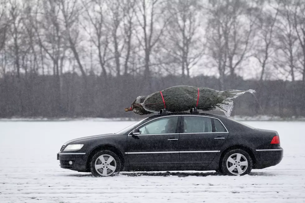 Great Idea! Your Family’s New Christmas Tree Tradition This Year in WNY