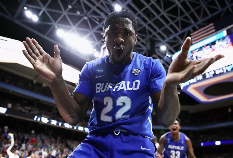 USA Today Ranks NCAA Contenders Based On Their Mascots – How Did Buffalo Do?