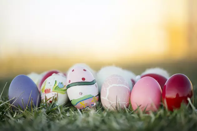 Join The Easter Eggsperience At The Buffalo Zoo This Saturday