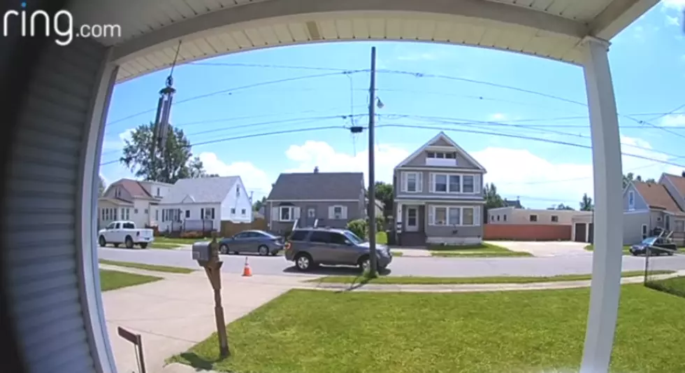 South Buffalo Porch Pirate Caught On Camera [VIDEO]