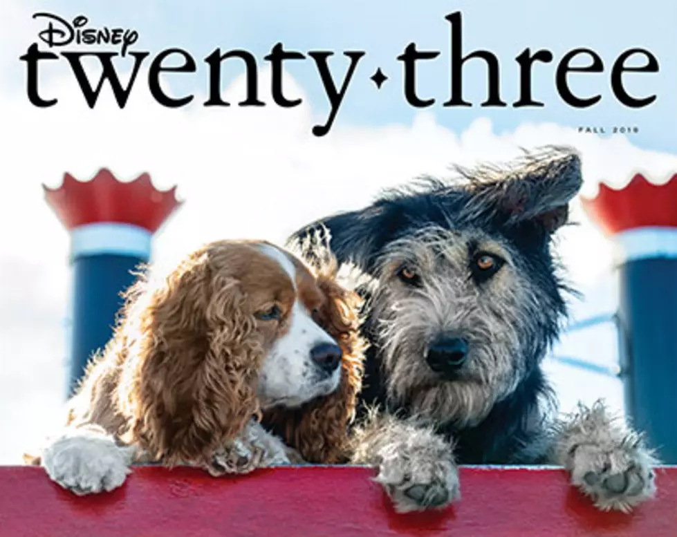 Disney To Release Live Version Of Lady And The Tramp