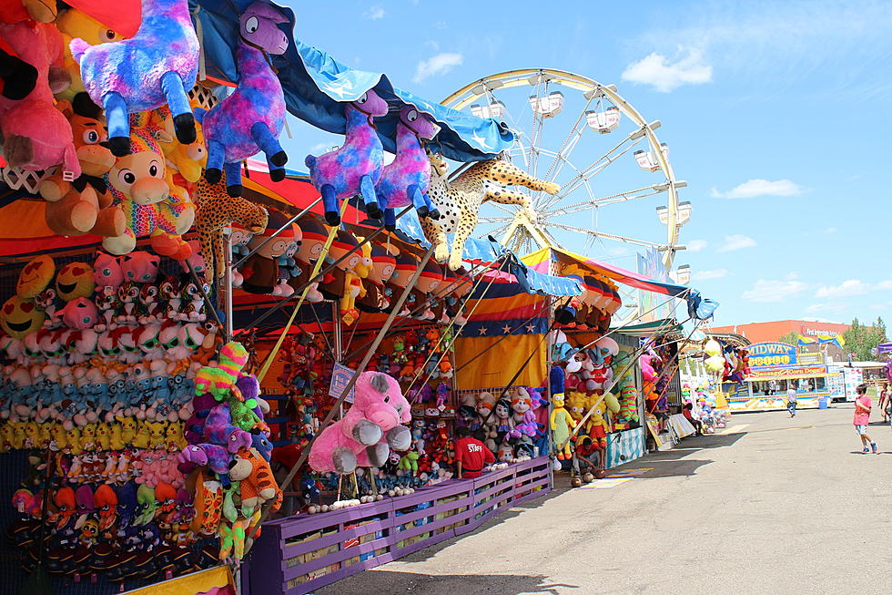 Would You Go Back To The Erie County Fair If It Happens This Year?