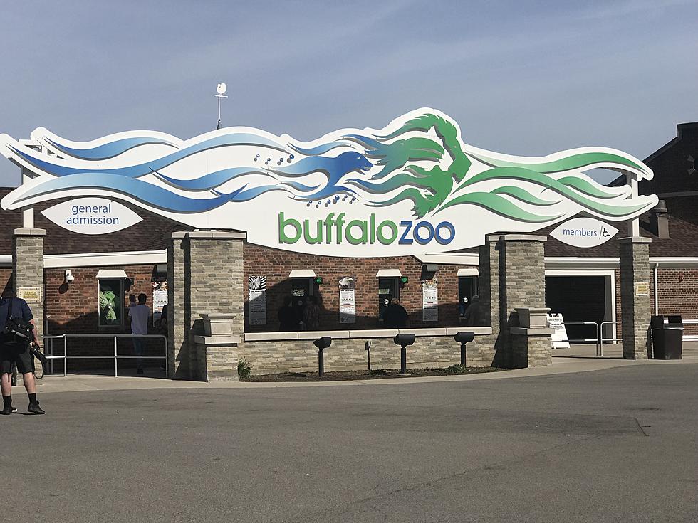 Buffalo Zoo Holding Safe Trick-or-Tricking Event In October