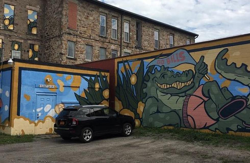 New Canalligator Mural Is Up In Medina