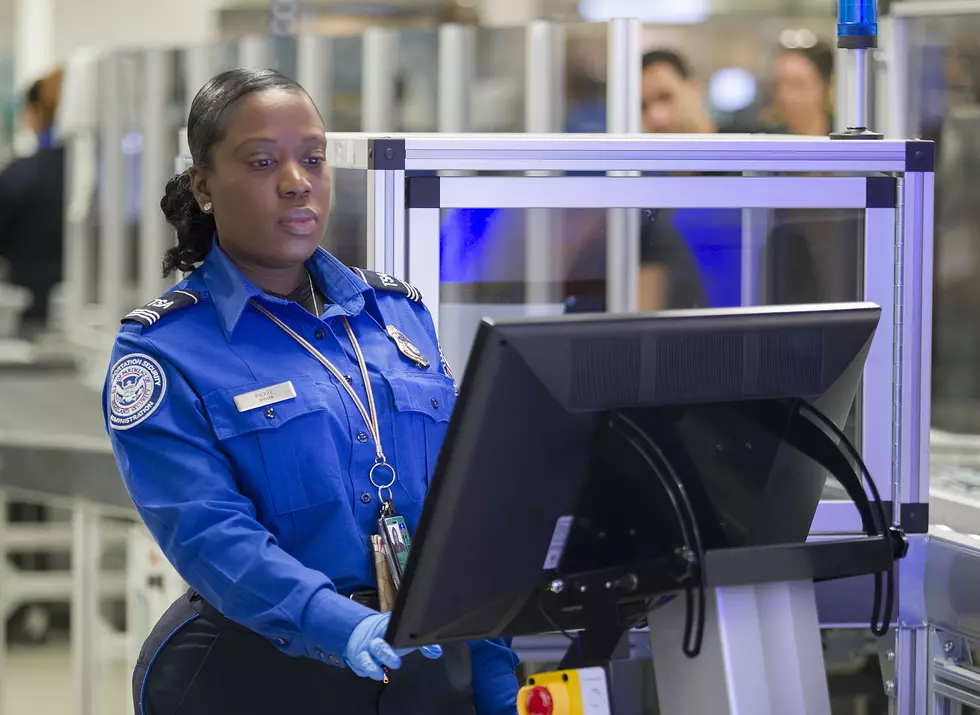 What TSA Will Allow Through Security For Thanksgiving