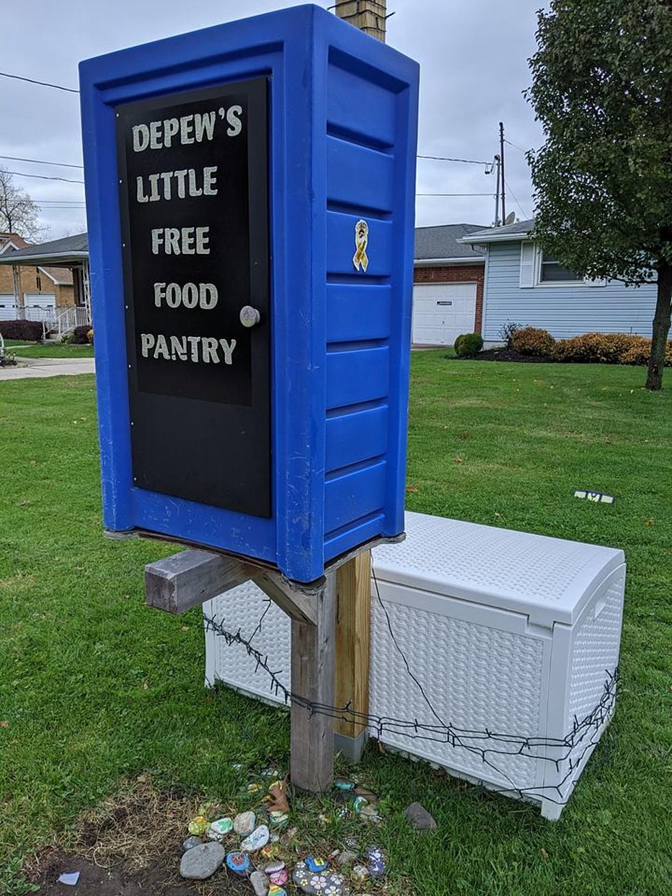 Little Free Pantries in Your Town