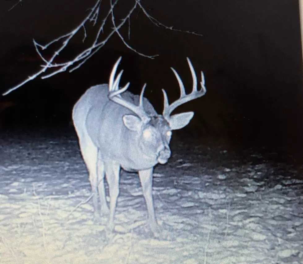 Three Important Tips For Hunters In New York State