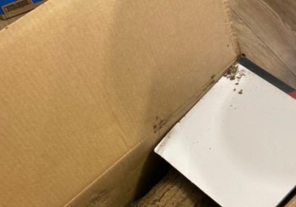 PICTURE: WNY Woman Finds A LOG In Her Walmart Package