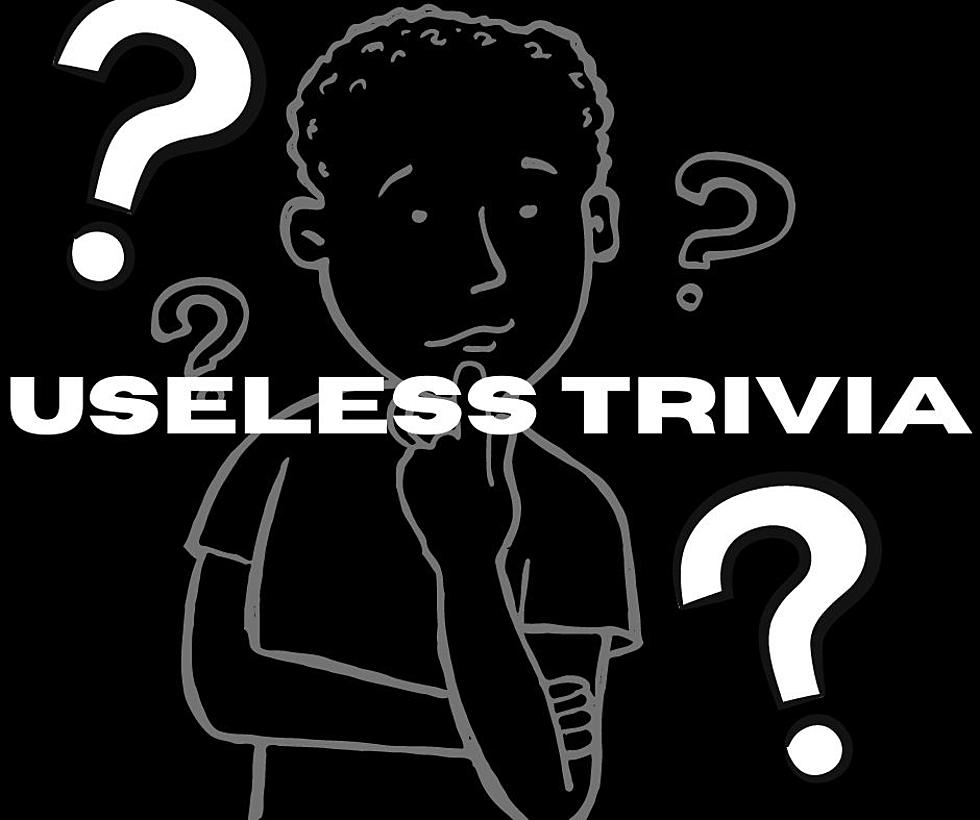 Stumped By Useless Trivia? Here Are November's Answers
