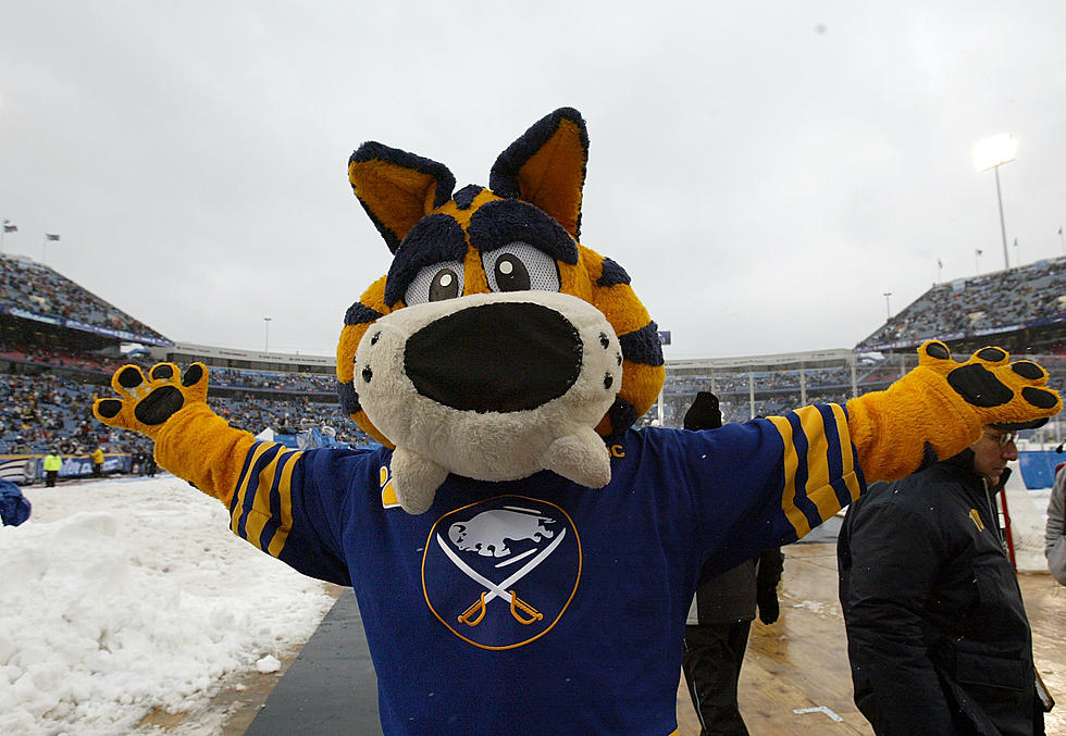See Who Western New Yorkers Voted As Their Favorite Mascot [PHOTOS]