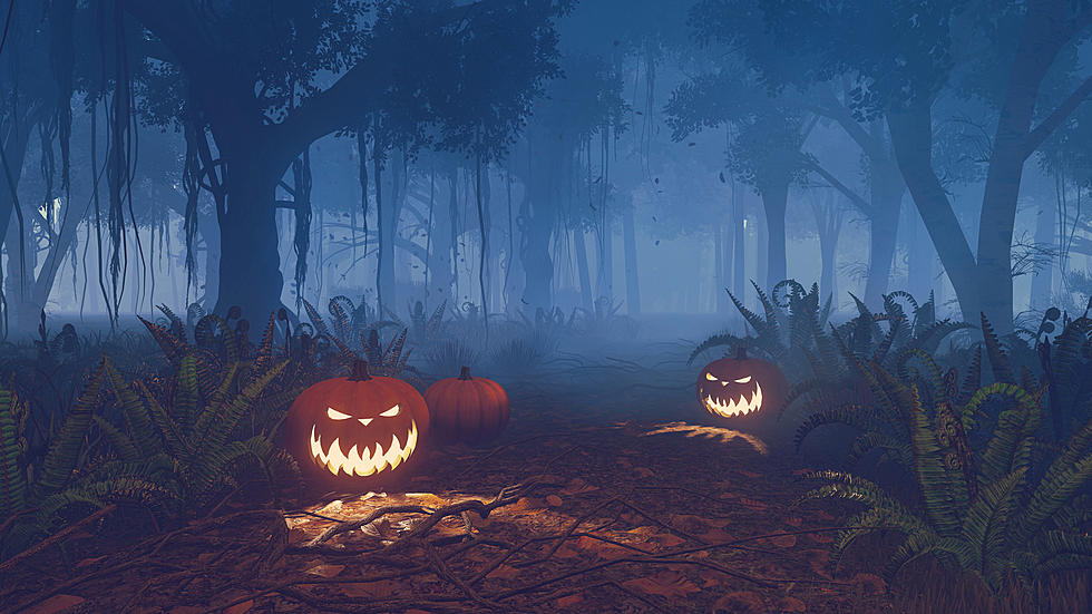 New Haunted Forest and Corn Maze Opening In WNY This Fall