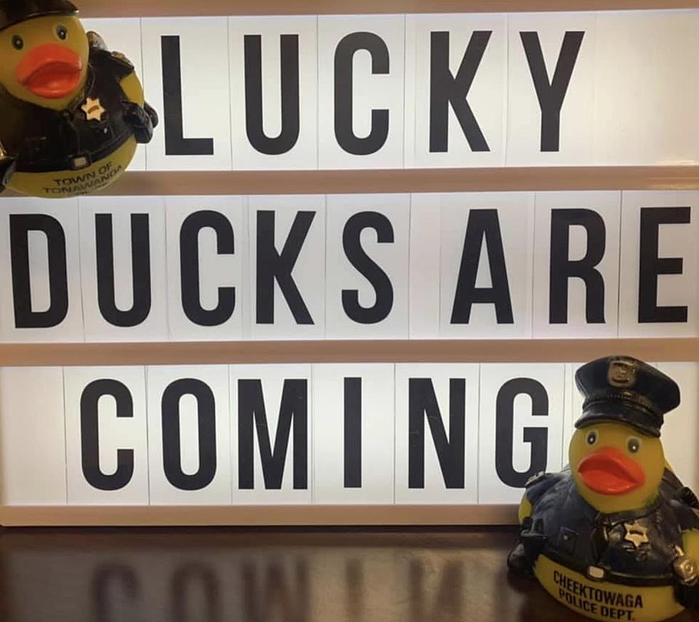 Lucky Duck Scavenger Hunt Returns, WNY Police Departments