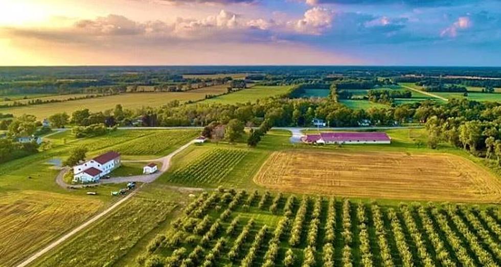 Amazing Winery For Sale In Western New York