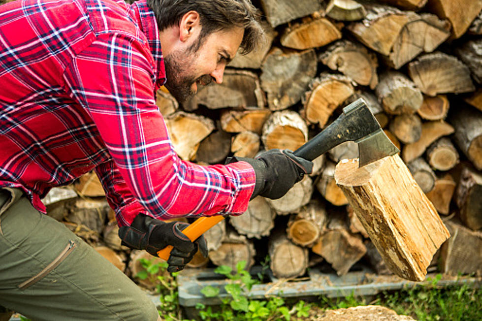 Need Firewood? Don’t Break This Law When You Get It