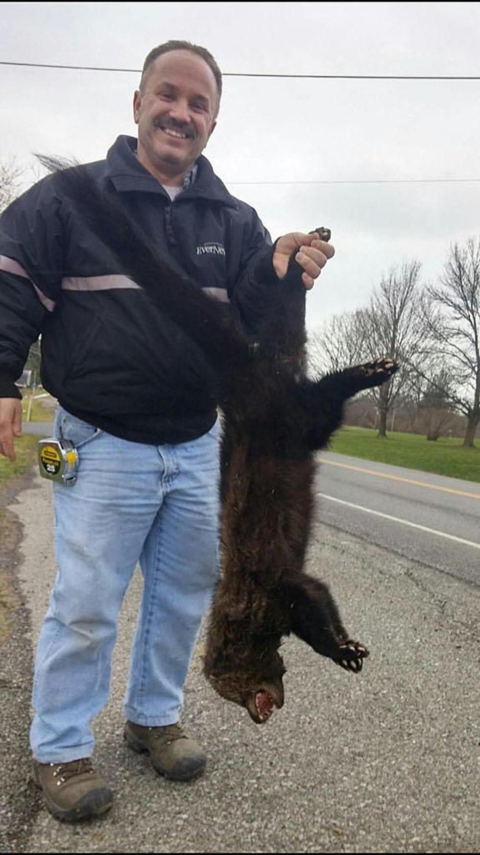 Massive Fisher Found In New York State [PHOTOS]