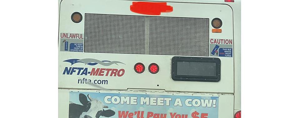Amazing Billboard In Buffalo Promises to Pay You $5 to Meet a Cow [PHOTO]